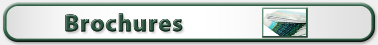 Brochure title